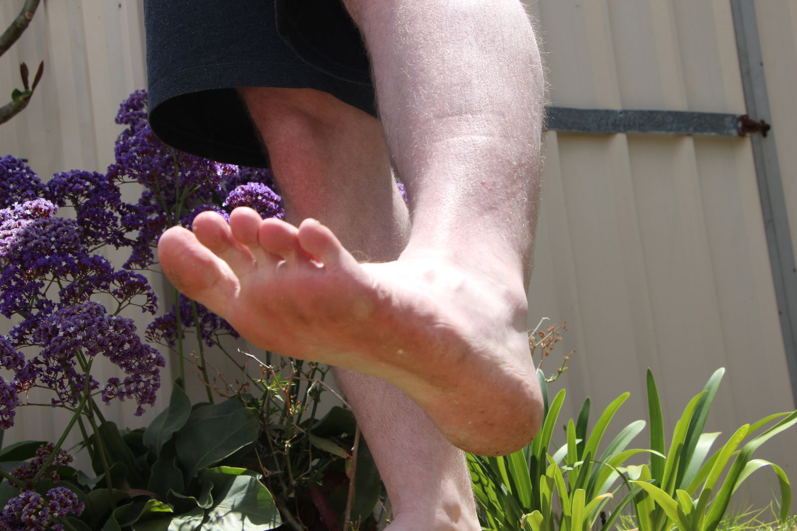 King Sized Feet photo