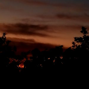 Andy ASS ๐โจ๏ธ photo