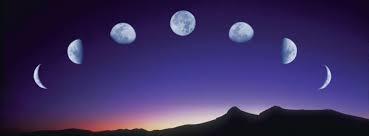 Andrés Alfaro photo