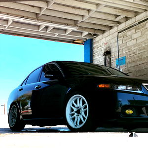 Rochelle Rodriguez photo