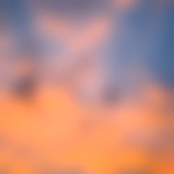 Charlotte Rose photo