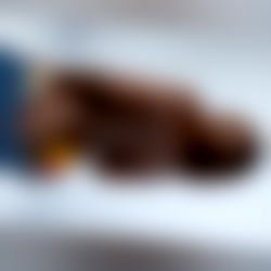 ๐๐ถ๐ช๐ป๐ช ๐ค ๐ฃ๐ฑ๐ฒ๐ฌ๐ด ๐ช๐ฏ๐ป๐ฒ๐ฌ๐ช๐ท ๐ญ๐ธ๐ต๐ต ๐ซ photo