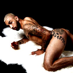 Michael Montero photo