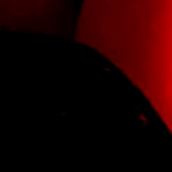 Tû niñita 👧 photo