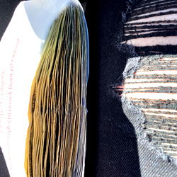 Cash Money in Car - Serenity