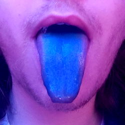 Blue Tongued Skank photo