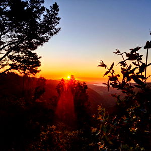 franciscalunars photo