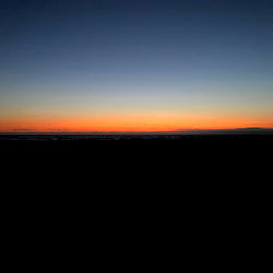 kitten 🎀🖤 photo