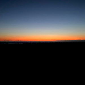 kitten ๐๐ค photo