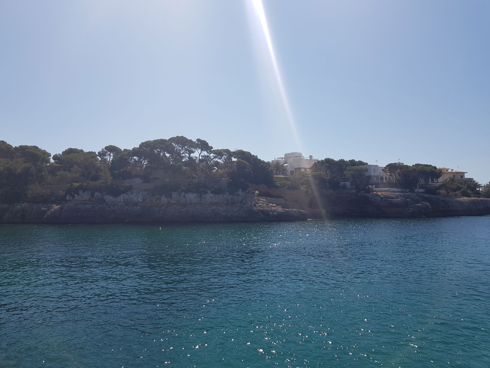 Baby Bl🌸ssom photo