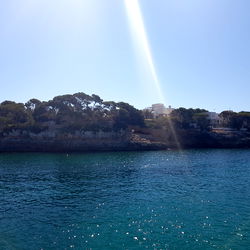 Baby Bl🌸ssom photo