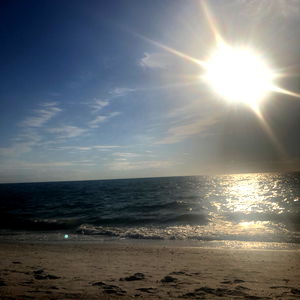 Dominique King photo