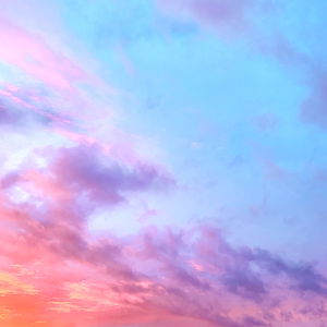 Peachyotter 🍑 photo