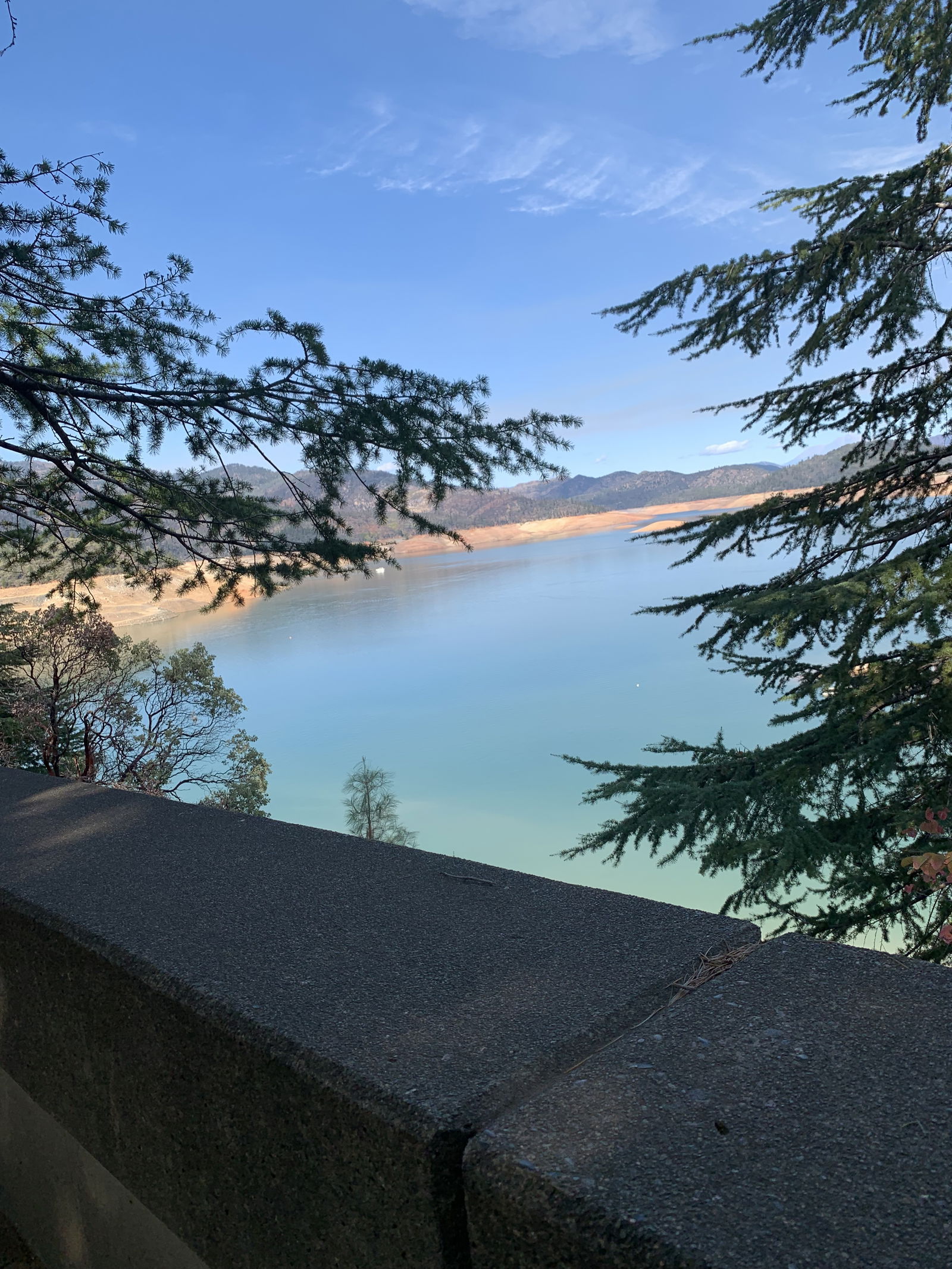 Alyssia Williams photo