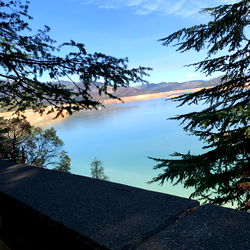 Alyssia Williams photo