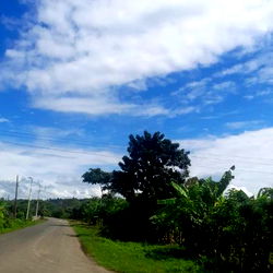 Tranquil Roadside in Ecuador