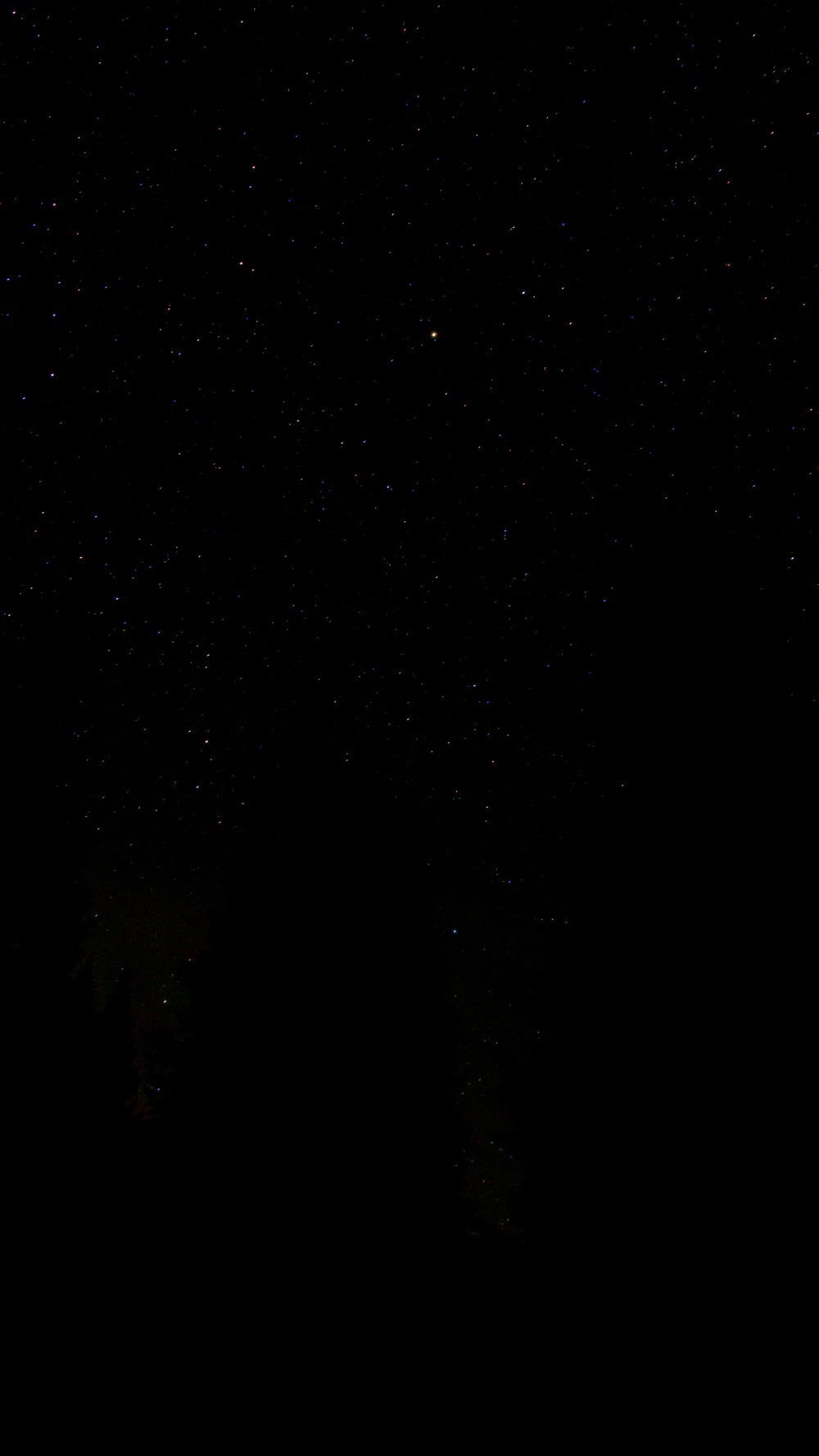 Cristy Lawrence photo