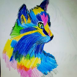 Colorful Cat Drawing