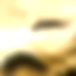 Dat Guy Remy Monty photo