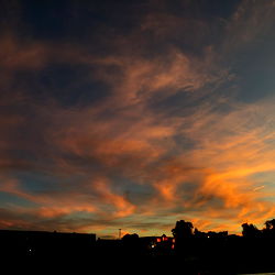 B.The Fairy🧚🏽✨(She/They) photo