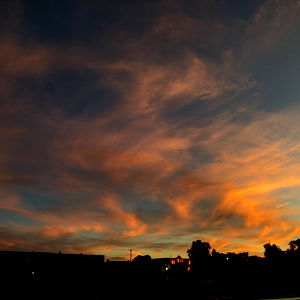 B.The Fairy๐ง๐ฝโจ(She/They) photo