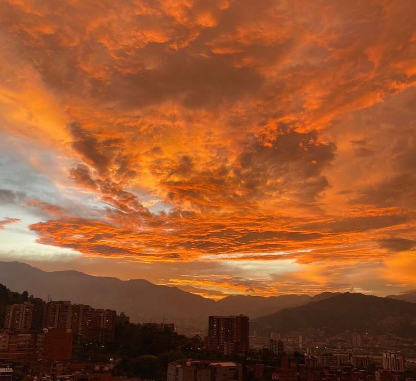 𝖏𝖚𝖆𝖓𝖆🦋 photo