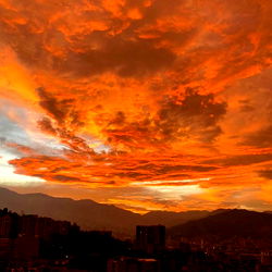 𝖏𝖚𝖆𝖓𝖆🦋 photo