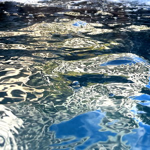 That one gym dude photo