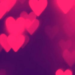 the girl you want photo