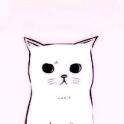 M O R A D I T A 🌸 photo