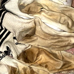 Dirty Socks and Sneakers in the Corner