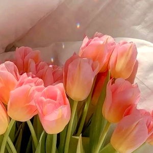 beatrice๐ฆถ๐ป๐ธ photo