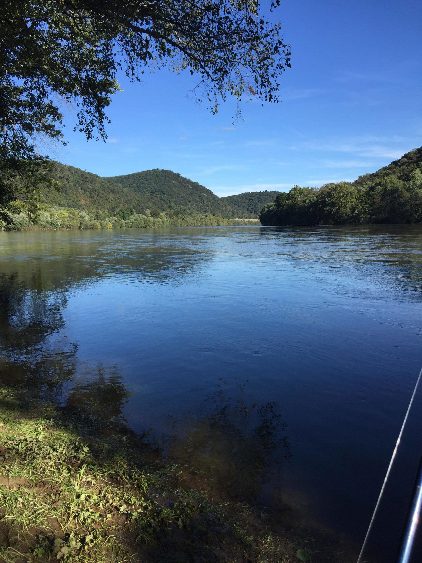 Alexander Kane photo