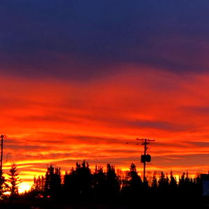 Frozen_Cellmate photo