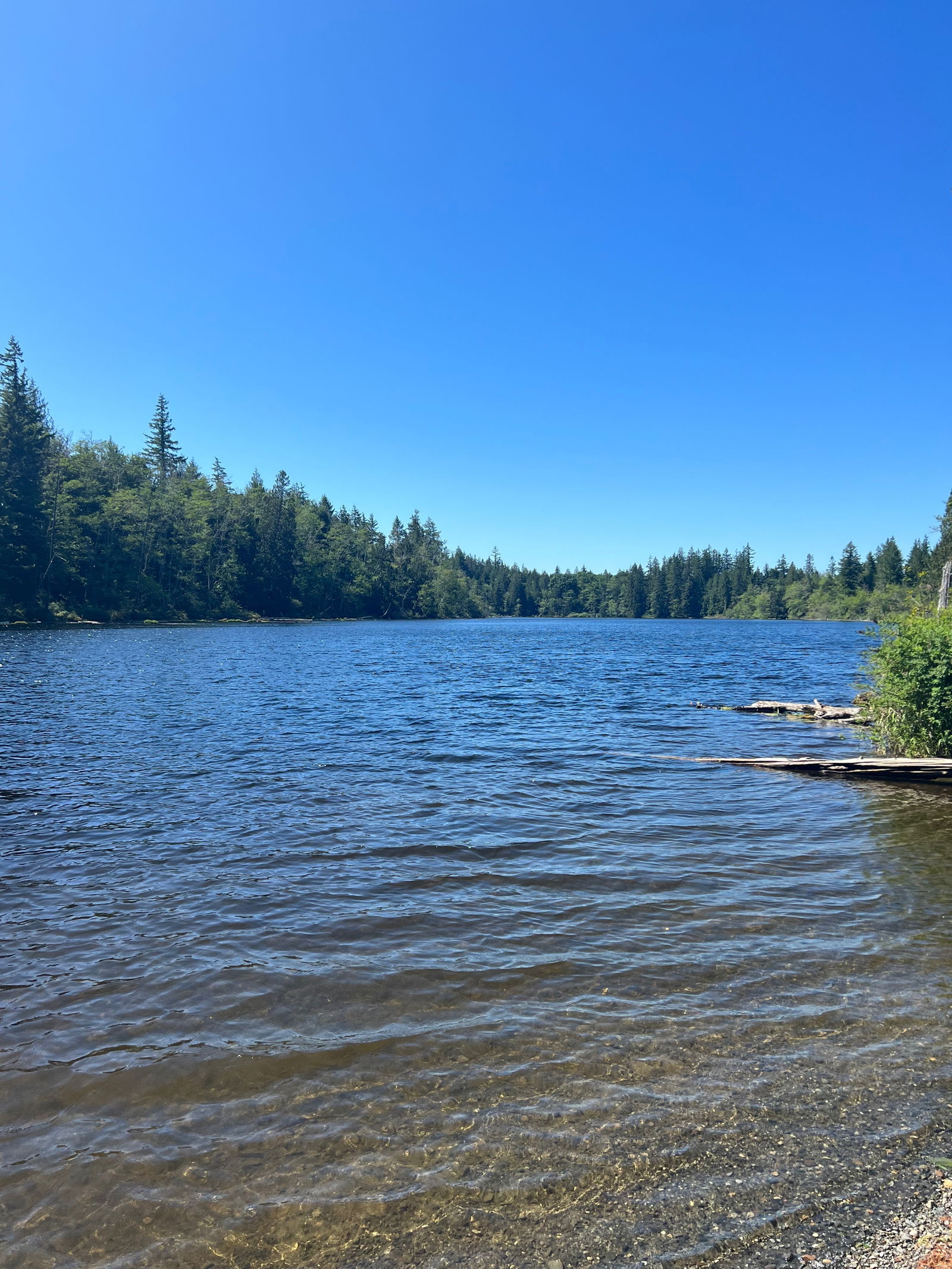 Anna Rivers  Free photo