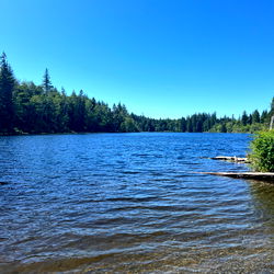 Anna Rivers  Free photo