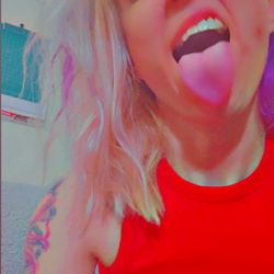 Picolas Kwispy in a Playful Pose