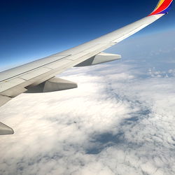 BackwoodsBoy78 photo