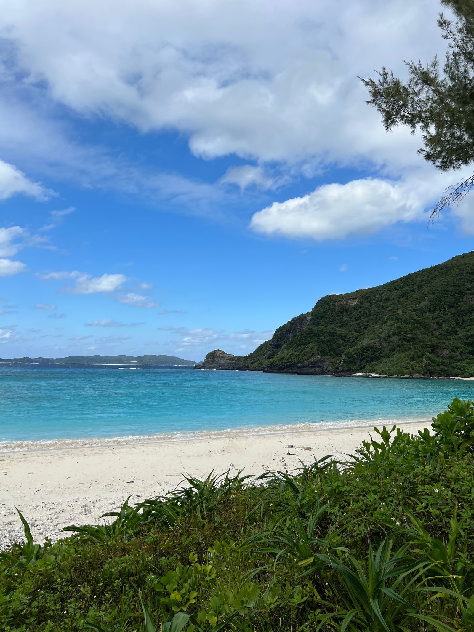 Shin The Nudist photo