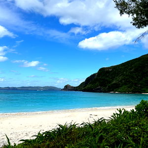 Shin The Nudist photo