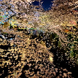 玉子さま🐣 photo