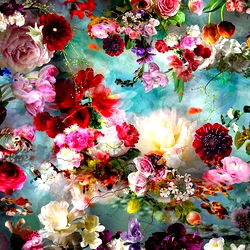 Alice the Wonderful 🐇 photo