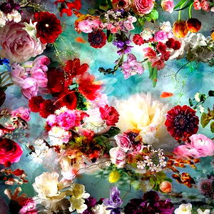 Alice the Wonderful ๐ photo