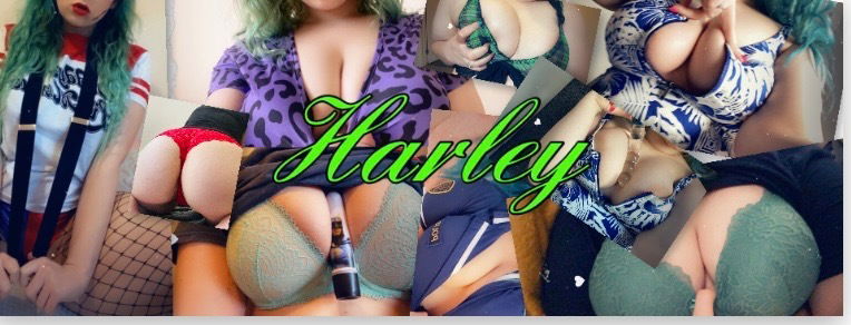 Harley photo