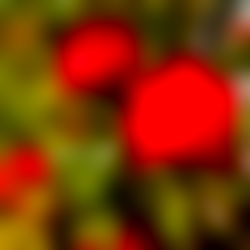 Andreawarrior_ photo