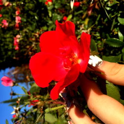 Morgan💙🌈 photo