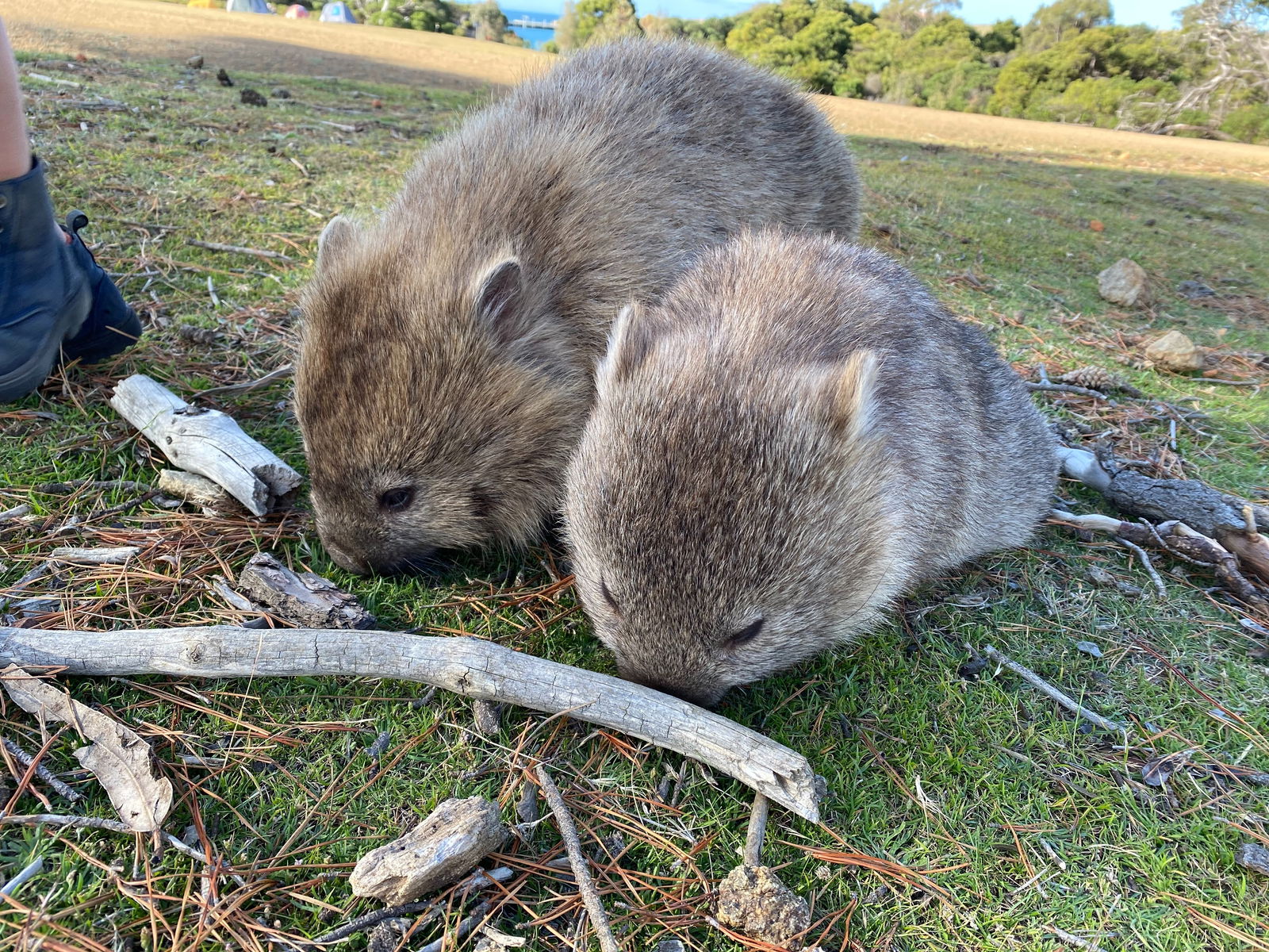 Quirkynaturegirl photo