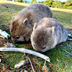 Quirkynaturegirl photo