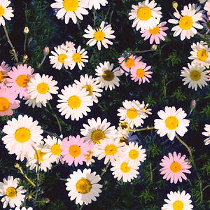 Ally Aimes 😈 photo