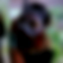 ๐ท๐๐๐๐๐๐๐ ๐ช๐๐๐๐๐๐ photo